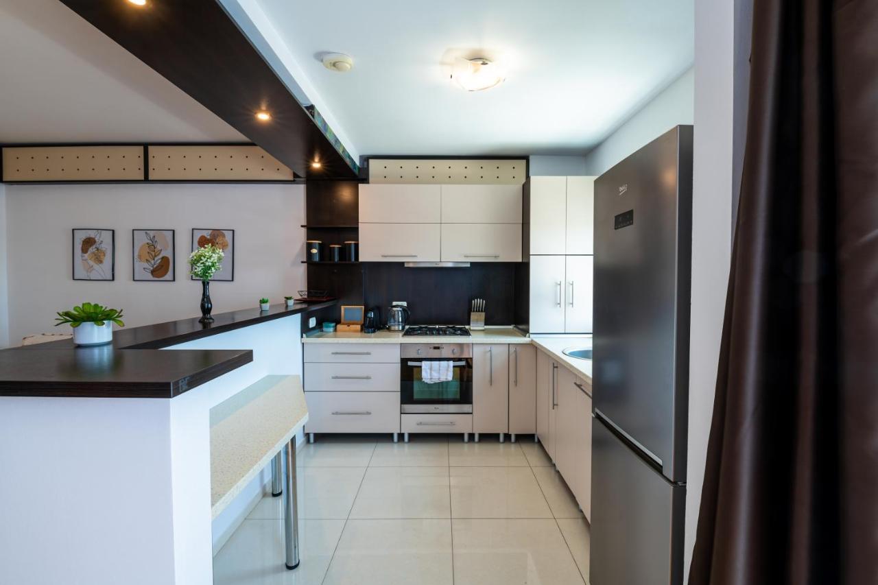 Apartament Business And Travel Lounge With Private Parking Timişoara