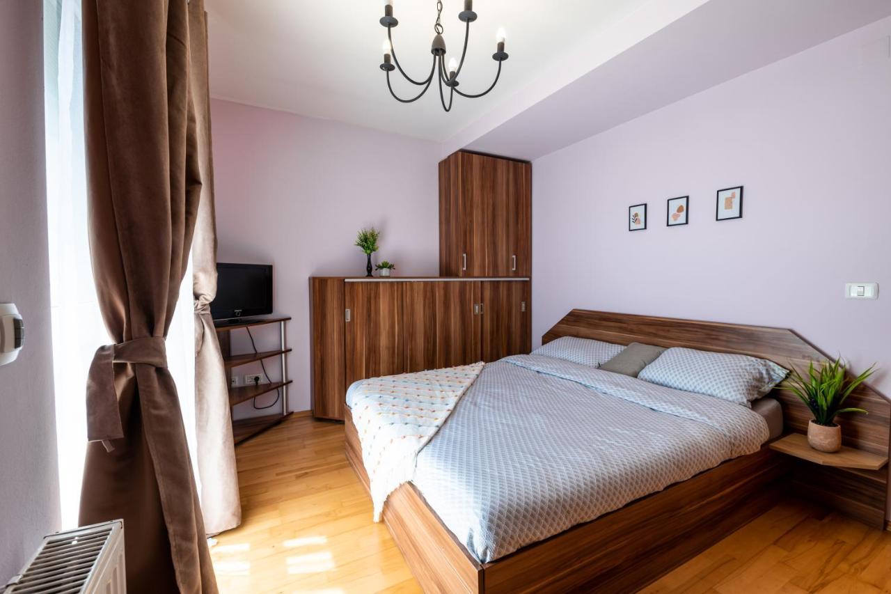 Business And Travel Lounge With Private Parking Apartament Timişoara
